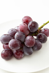 皿に乗った葡萄　白バック