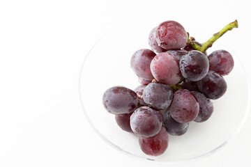 皿の上の葡萄　白バック