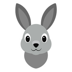 Obraz premium white rabbit isolated on white