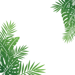 Tropical Green Leaves Border Illustration with White Background