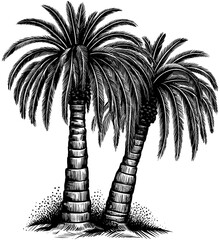 Twin Palm SVG Clipart