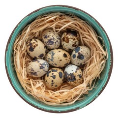 Obraz premium Speckled quail eggs in turquoise ceramic bowl