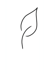 silhouette of a leave