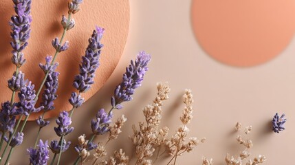 Close-up of Fresh Lavender Flowers with Soft Colorful Background
