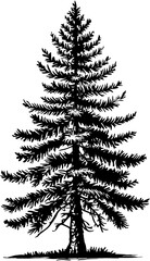 Rustic Pine SVG Printable