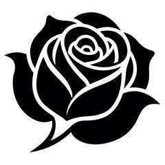 Elegant Black and White Rose Blossom Detailed Illustration for Design Projects