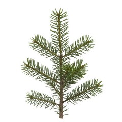 Brown kraft paper luggage tag with hole