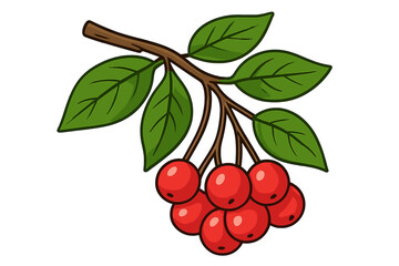 Red berries on a branch with green leaves. Vector cartoon illustration. Botanical concept. Cranberry, rowan, holly berry. Isolated natural food icon for autumn decoration.