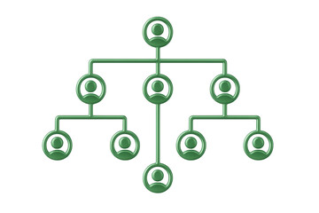 Organizational hierarchy diagram showing interconnected green employee icons representing corporate reporting structure, visualized in clean 3d graphic design on transparent backdrop