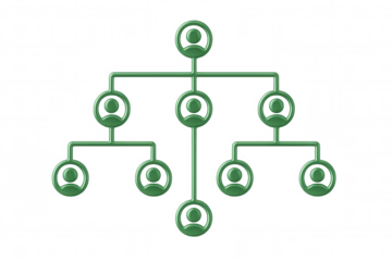Organizational hierarchy diagram showing interconnected green employee icons representing corporate reporting structure, visualized in clean 3d graphic design on transparent backdrop
