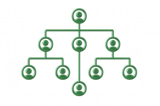 Organizational hierarchy diagram showing interconnected green employee icons representing corporate reporting structure, visualized in clean 3d graphic design on transparent backdrop