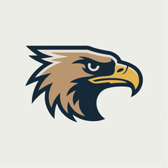 eagle head vector illustration