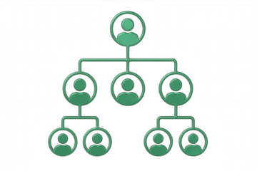 Green hierarchical chart representing a corporate structure on a transparent background, ideal for illustrating business concepts