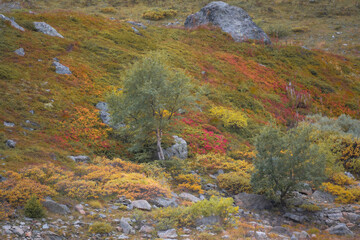 fall in the mountains