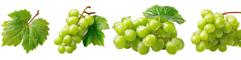 Green grapes with leaves