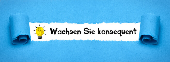 Wachsen Sie konsequent	
