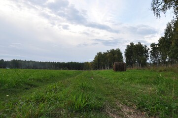road in green field