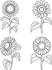 Set of Sunflower Outline vector illustration isolated On Transparent Background