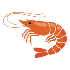 shrimp vector illustration