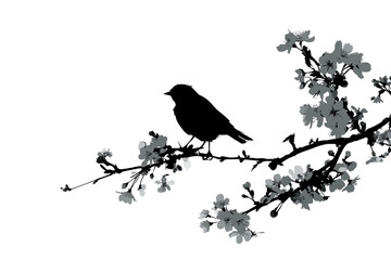 Obraz premium Silhouette Of A Bird On A Blooming Branch Isolated on a Transparent Background