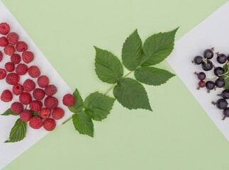 Ripe raspberries and black currants with leaves on pastel colored background. Fresh organic fruits for healthy eating, flat lay composition, concept of natural food, vitamins, antioxidants, diet.
