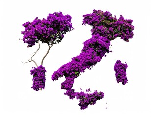 Italy shaped by vibrant purple bougainvillea (2)