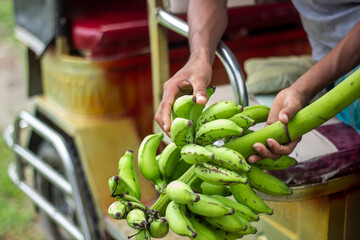 Hands holding a bunch of green bananas near a vehicle
