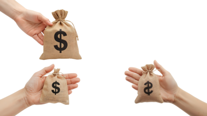 Hand holding money bag on transparent background png