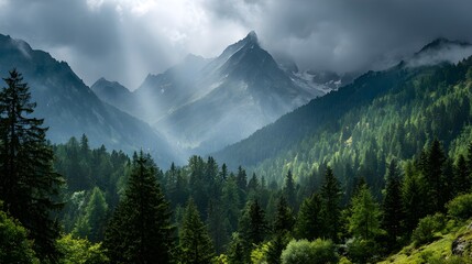 Majestic mountain peak shrouded in dramatic clouds above a dense evergreen forest in a breathtaking natural landscape scene