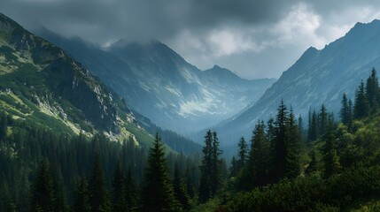Fototapeta premium Misty mountain valley serenity dramatic clouds and lush green forest canopy at sunrise scenic outdoor landscape