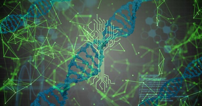 After one-second, DNA helix rotating with neon circuit tree emerging illustrating biotech network - Powered by Adobe