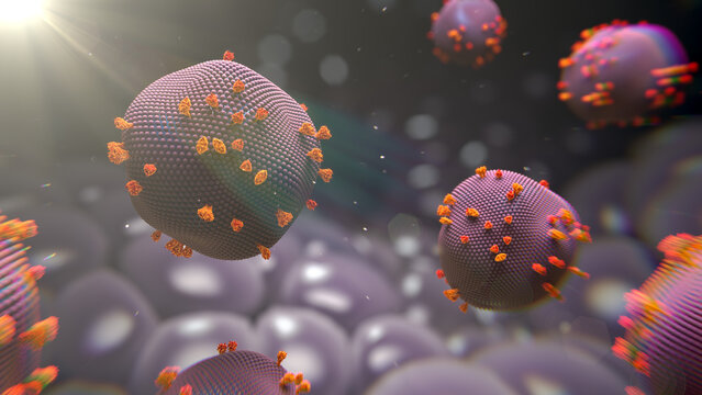 Measles virus particles, illustration
