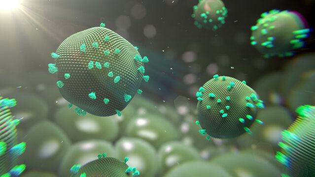Measles virus particles, illustration