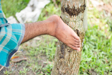 A persons bare foot rests against a tree trunk in an outdoor setting
