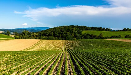 Rolling hills and farmland under a bright blue sky
