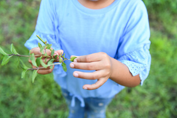 Child inspects garden plant with hands on Florida homestead
