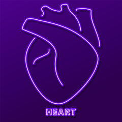 heart organ neon sign, modern glowing banner design, colorful modern design trends. Vector illustration.