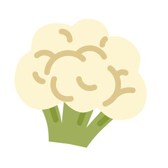 Illustration of a simple flat style cauliflower. Perfect for illustrating healthy food, vegan recipes, and vegetable concepts.