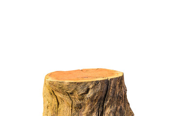 Wooden plate carved from tree trunk isolated on white background. Can be used like stand for your object, Tree Table wood Podium in farm display for food, perfume, and other products