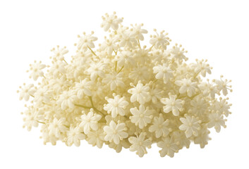 Whole elderflower blossoms in a small pile