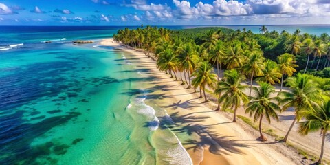 Serene Tropical Beach with Palm Trees and Crystal Clear Water