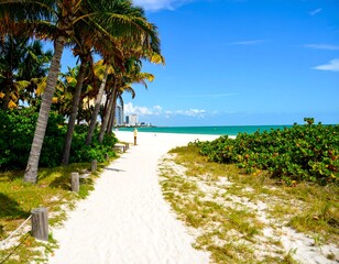 Tropical beach path leading to the ocean