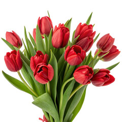 Obraz premium Bouquet of red tulip isolated on transparent background 