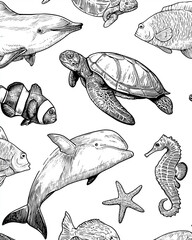 Kolorowanki dla dzieci – Zwierzęta morskie: delfin, żółw, rekin, krab, meduza i inne stworzenia oceanu do druku