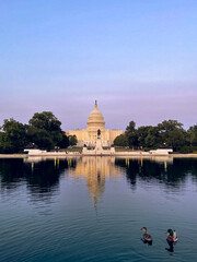 Obraz premium Washington DC Capitol at Dawn