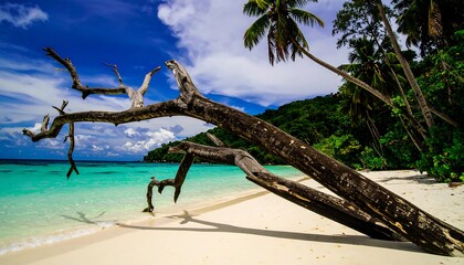 Tropical beach scene with a fallen tree