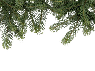 Christmas decor made of Christmas tree branches isolated on transparent or white background, png
