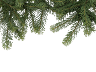 Christmas decor made of Christmas tree branches isolated on transparent or white background, png
