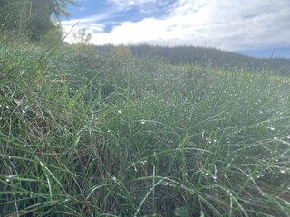 Ballade dans le vercors &agrave; Villard de lans en france