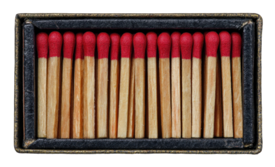 Matchsticks neatly arranged in a box